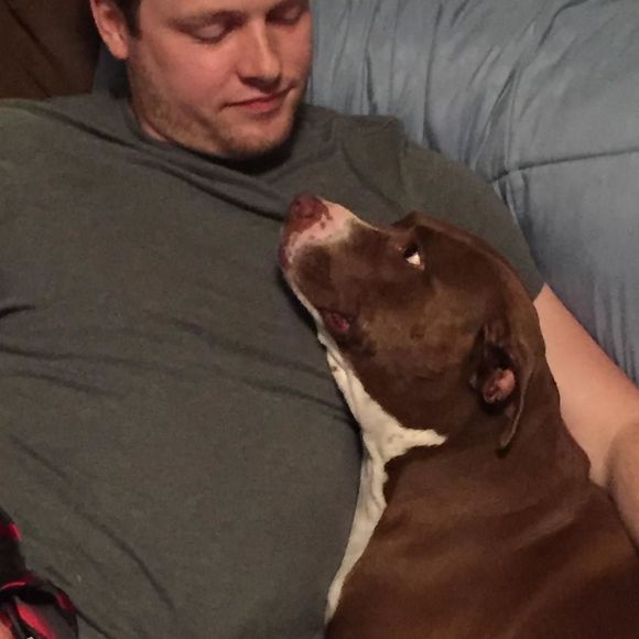 Meet your Posher, Nathan - Picture 1 of 1